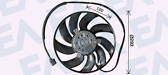 33V77038
