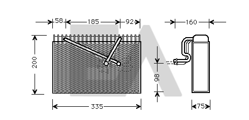 8FV351210681