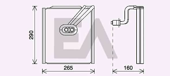 43B36004