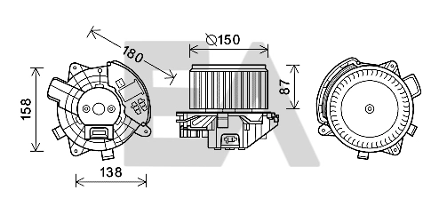 42A25019