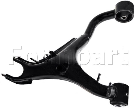 RGG500293