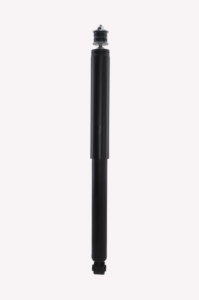 C22293
