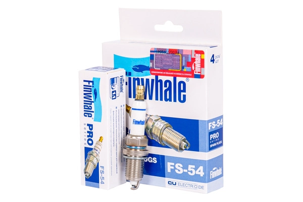 FS54