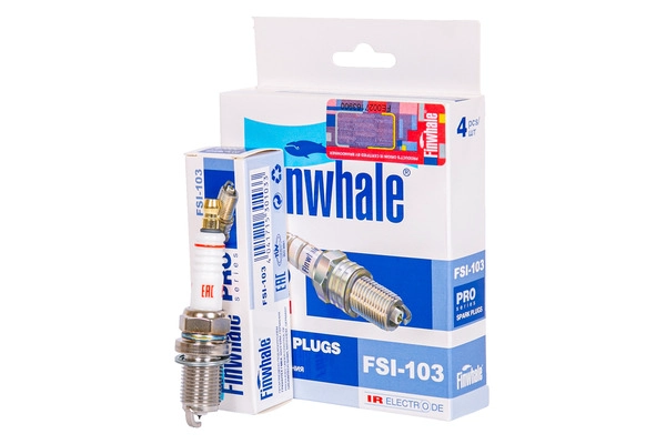 FSI103