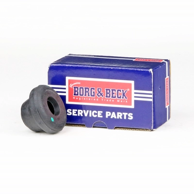 BSK7296