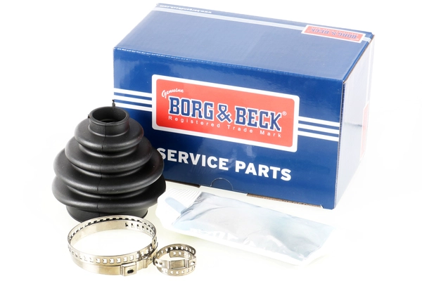 BCB1005