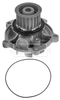 BWP2279