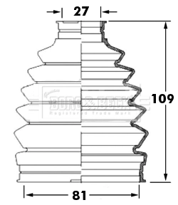 BCB6009