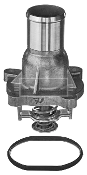 BBT335