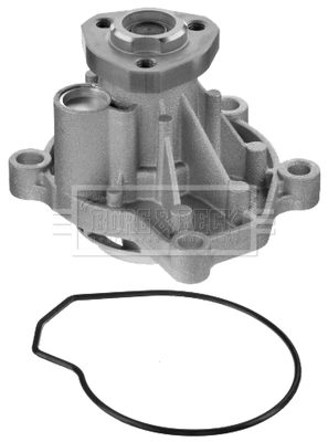 BWP2031
