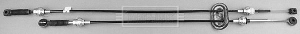 BKG1006