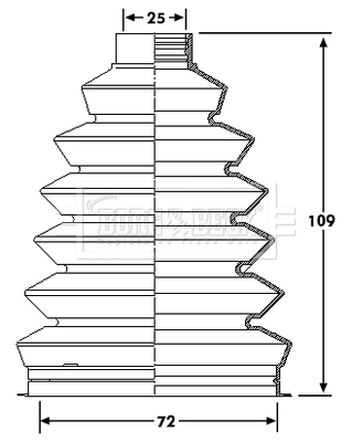 BCB6211