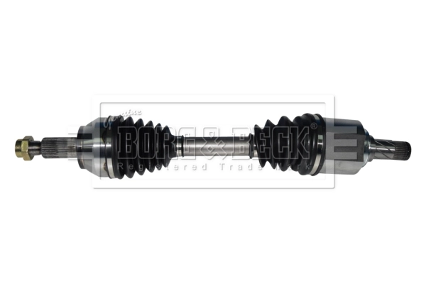 BDS1198