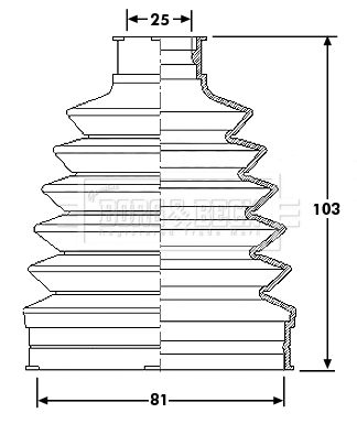 BCB6210