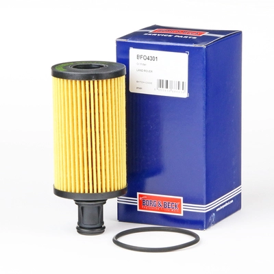 BFO4301