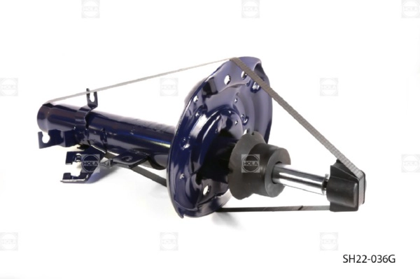 SH22-036G