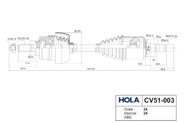 CV51-003