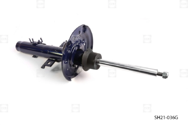SH21-036G
