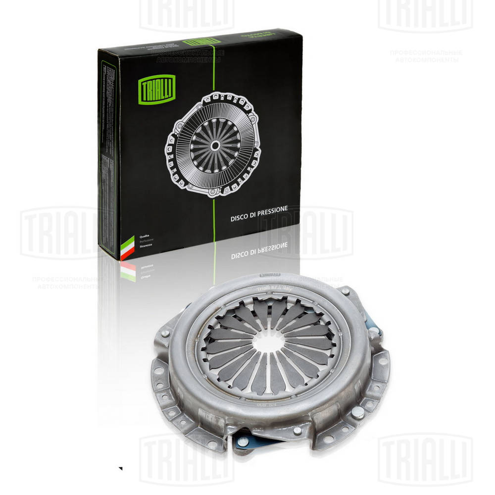 FS 809