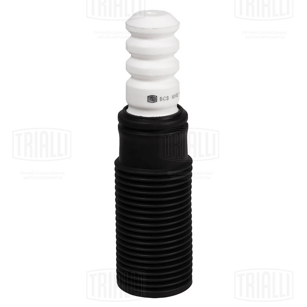 BCS 10102