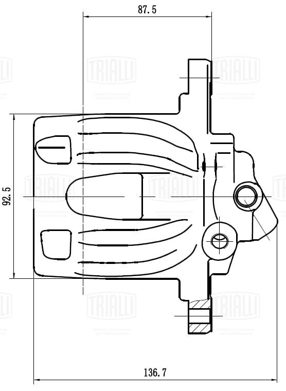 CF 032007