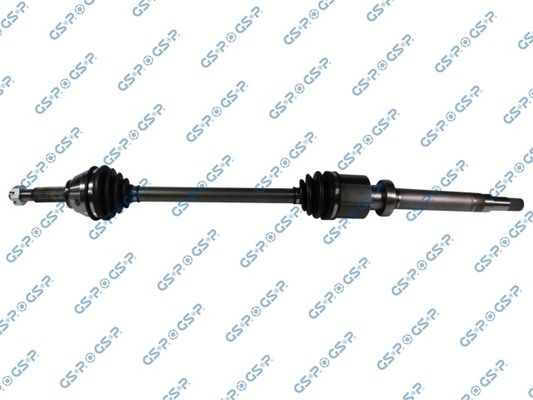 GSP-218142