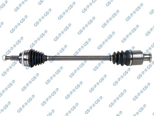 GSP-250260