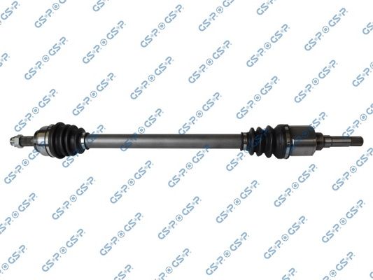 GSP-245201