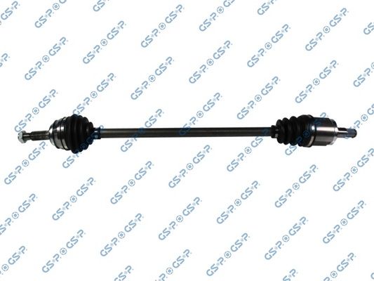 GSP-254002