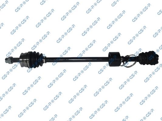GSP-217171
