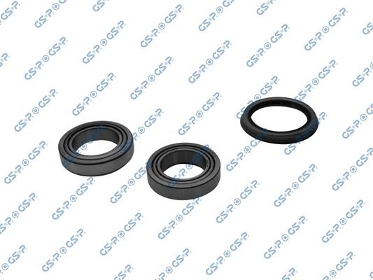 GSP-GKX0042