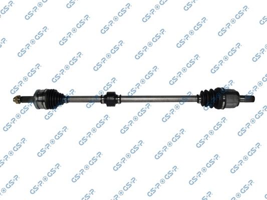 GSP-224289