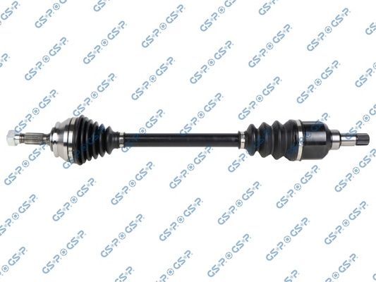 GSP-203807