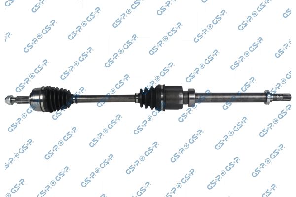 GSP-204119
