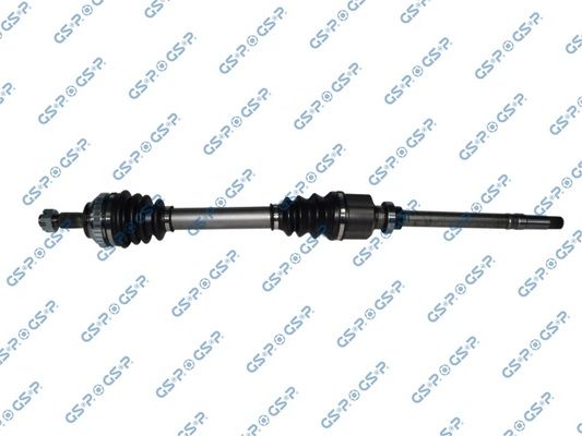 GSP-210019