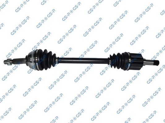GSP-218259