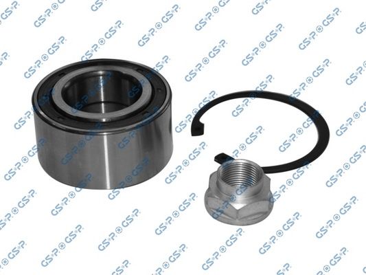 GSP-GK1374