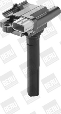 BER-ZSE069