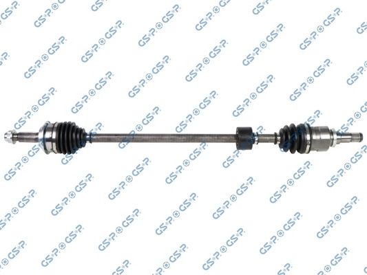 GSP-259666
