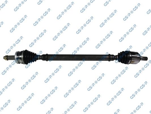 GSP-224496