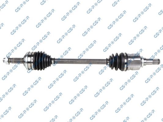 GSP-259667