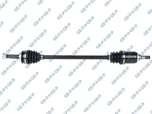 GSP-202165