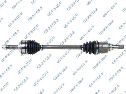 GSP-259611