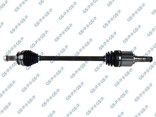 GSP-256013
