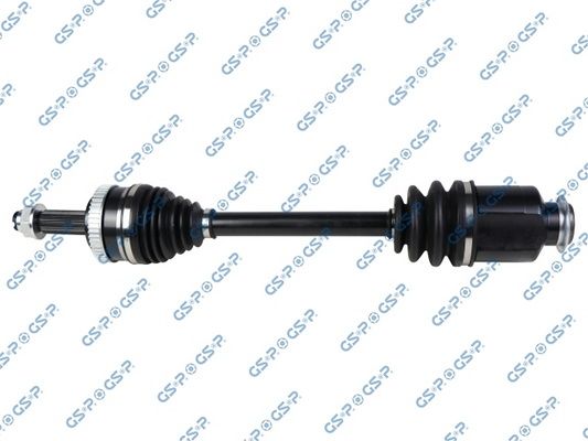 GSP-224568