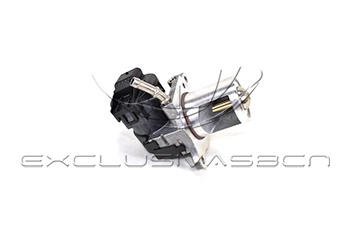 EEG-MB07
