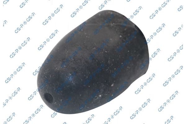GSP-538138