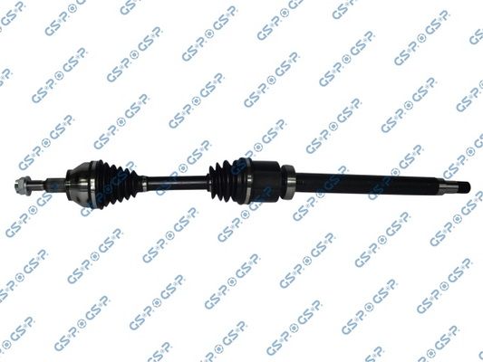 GSP-218381