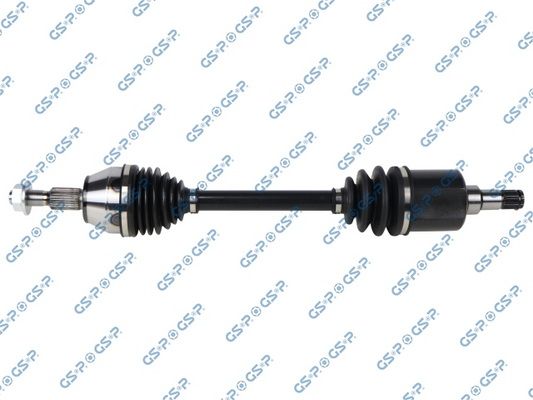 GSP-218295