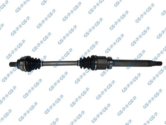 GSP-218191